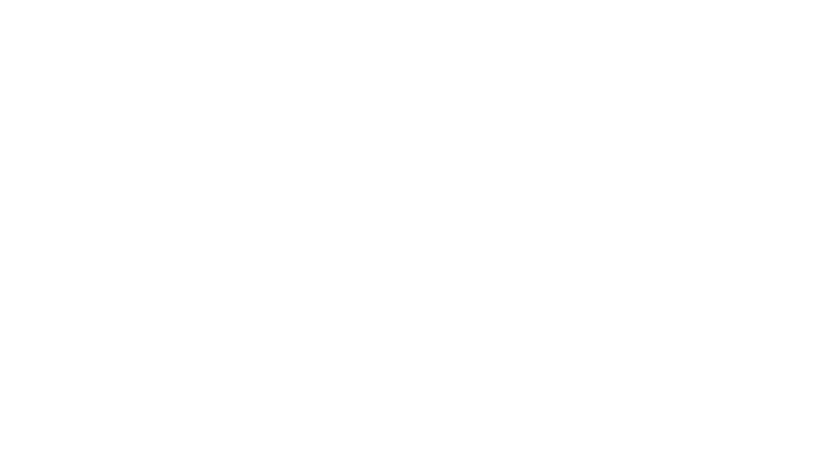 KAREN SILVER STORE official white logo
